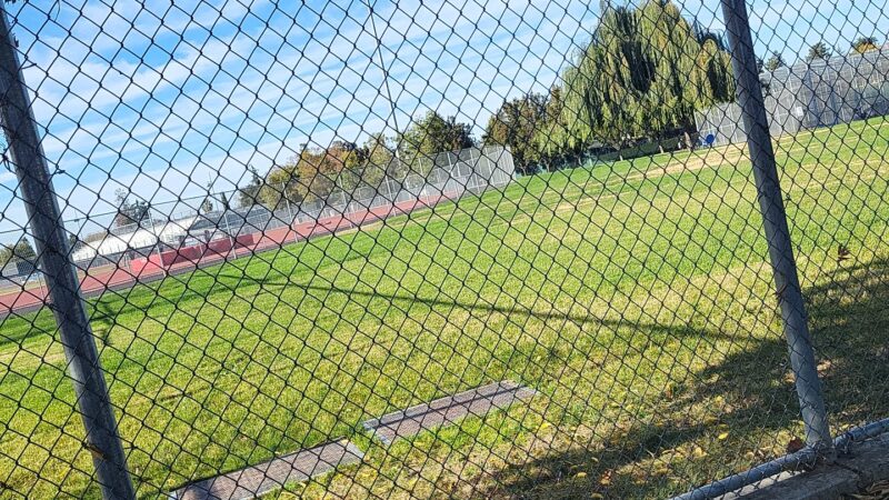 Lincoln Dog Park - San Jose, CA