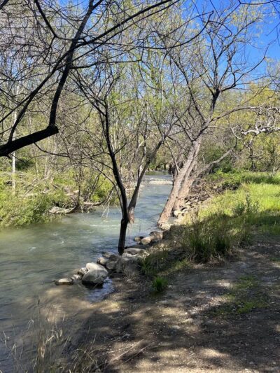Los Alamitos Creek Trail - San Jose, CA