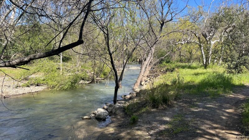 Los Alamitos Creek Trail - San Jose, CA