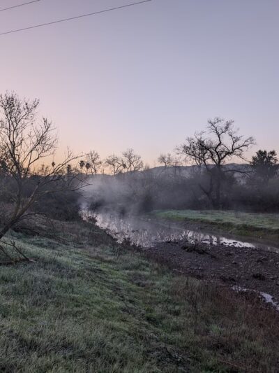 Los Alamitos Creek Trail - San Jose, CA
