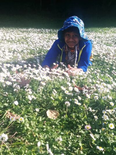 Los Gatos Creek Trail - San Jose, CA