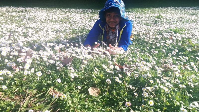 Los Gatos Creek Trail - San Jose, CA