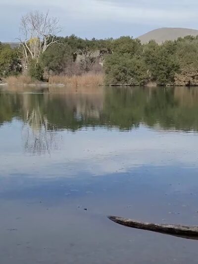 Metcalf Park - San Jose, CA