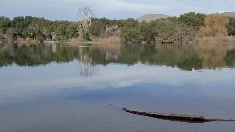 Metcalf Park - San Jose, CA
