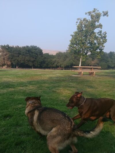 Metcalf Park - San Jose, CA