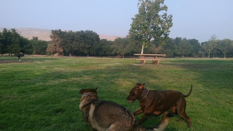 Metcalf Park - San Jose, CA