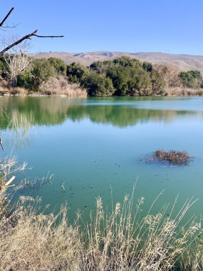 Metcalf Park - San Jose, CA