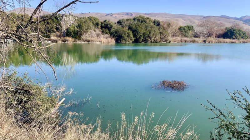 Metcalf Park - San Jose, CA
