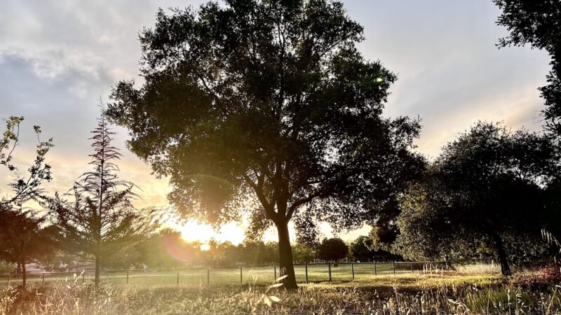 Metcalf Park - San Jose, CA