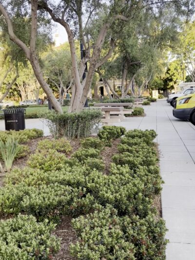 Moitozo Park - San Jose, CA