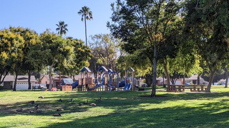 Mount Pleasant Park - San Jose, CA