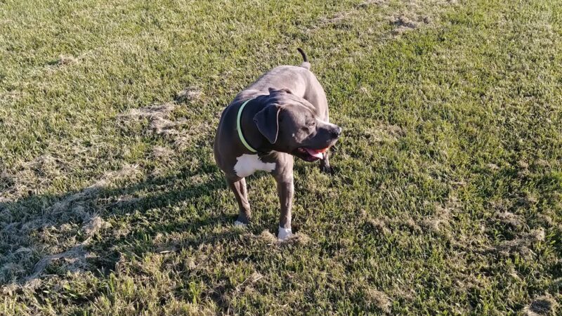 Mount Pleasant Park - San Jose, CA