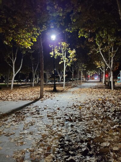 O'Connor Park - San Jose, CA