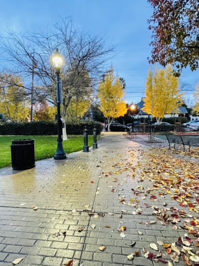 O'Donnell Garden Park - San Jose, CA