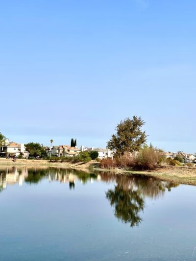 Old Almadén Winery Ponds - San Jose, CA