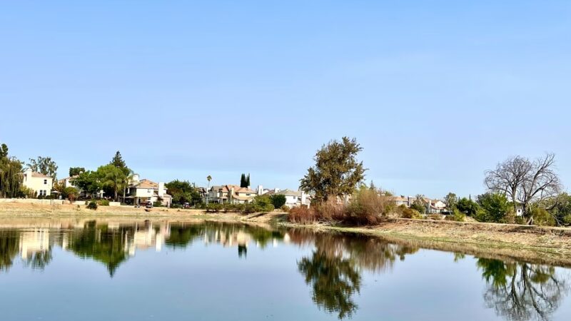 Old Almadén Winery Ponds - San Jose, CA