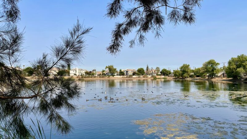 Old Almadén Winery Ponds - San Jose, CA