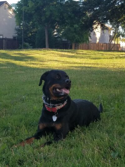 Parkview I Park - San Jose, CA