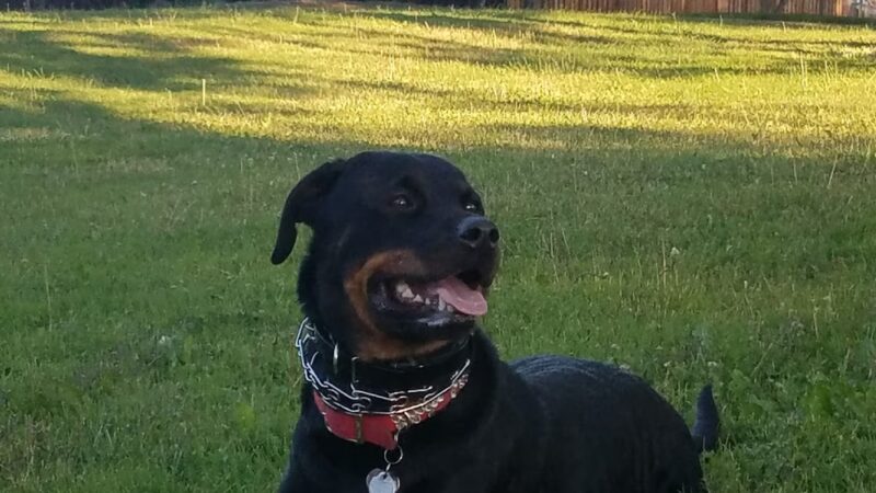 Parkview I Park - San Jose, CA