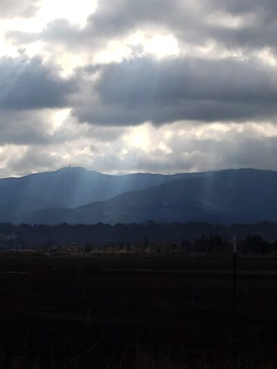 Parkview III Park - San Jose, CA