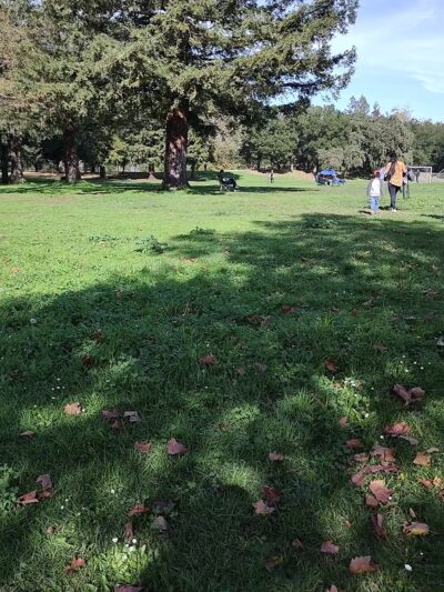 Playground | Berryessa Creek Park - San Jose, CA