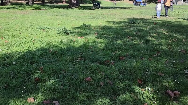 Playground | Berryessa Creek Park - San Jose, CA
