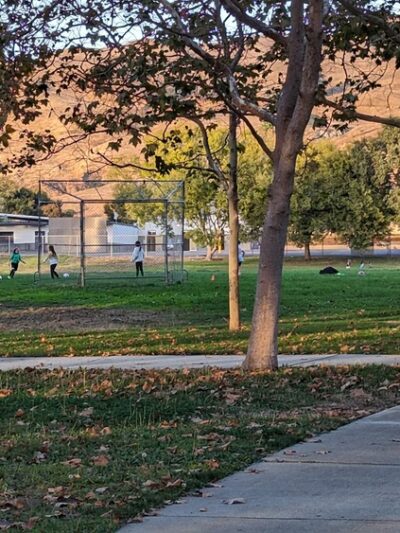 Playground | Berryessa Creek Park - San Jose, CA