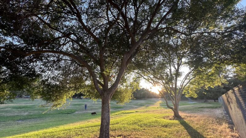 Playground | Berryessa Creek Park - San Jose, CA