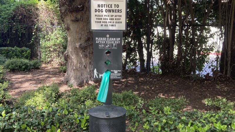 Pocket Park - San Jose, CA