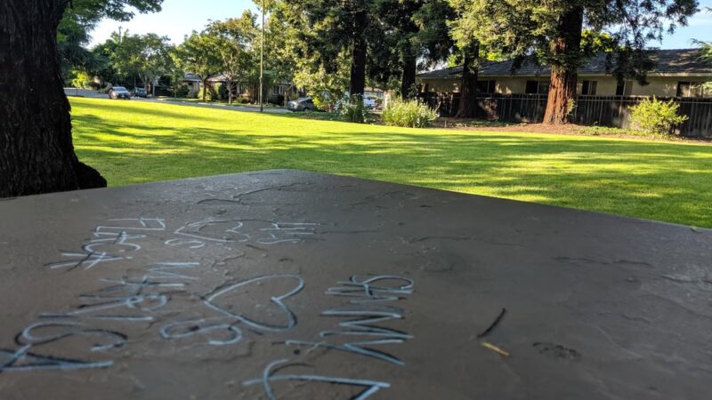 Roy Avenue Park - San Jose, CA