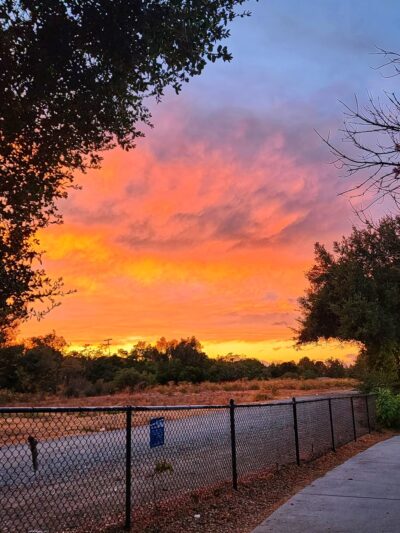 Rubino Park - San Jose, CA