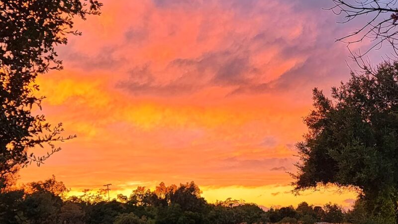 Rubino Park - San Jose, CA