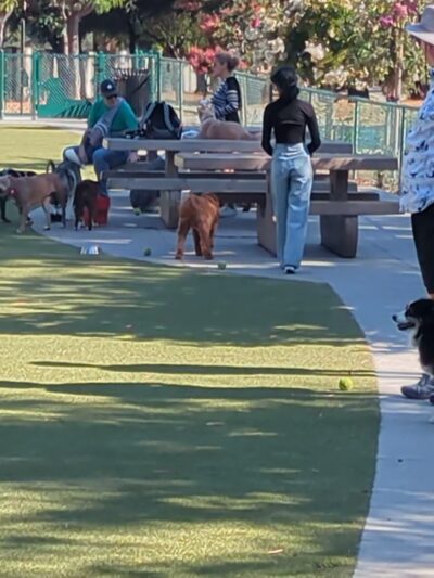 Saratoga Creek Dog Park, San Jose, CA - San Jose, CA