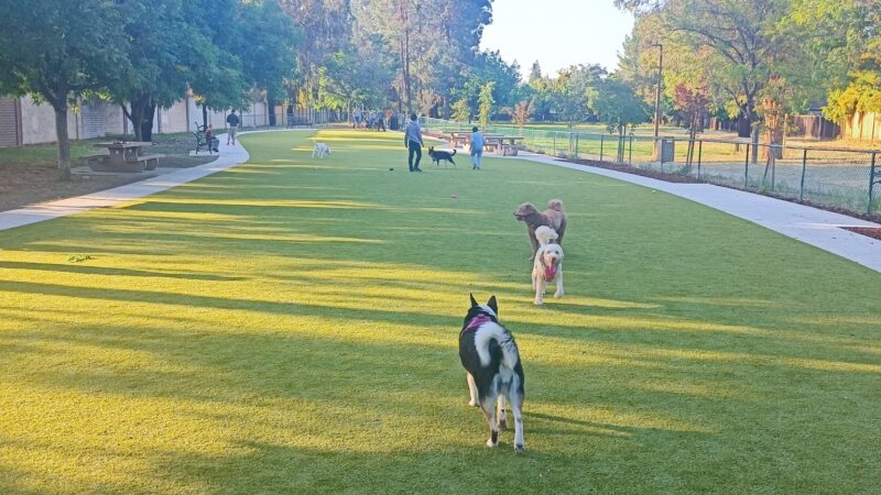 Saratoga Creek Dog Park, San Jose, CA - San Jose, CA