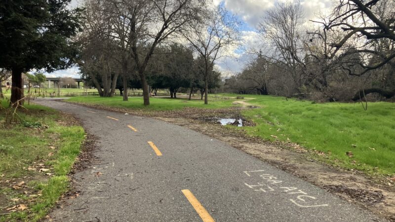 Selma Olinder Park - San Jose, CA