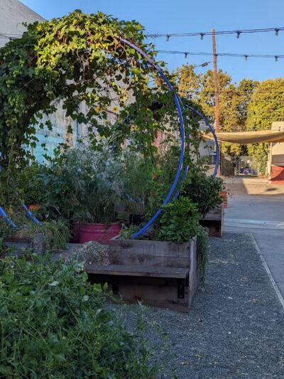 SoFA Pocket Park - San Jose, CA