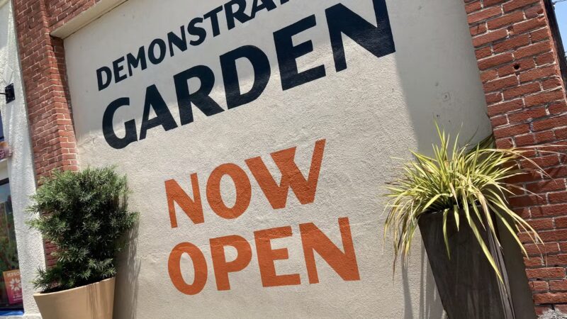 SoFA Pocket Park - San Jose, CA