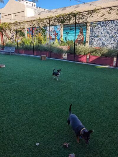 SoFA Pocket Park - San Jose, CA