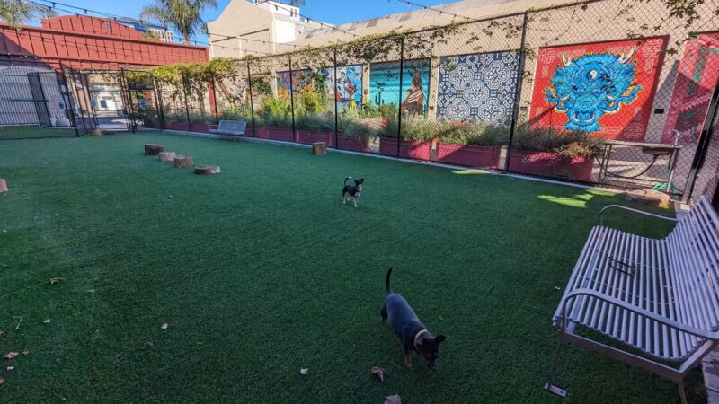 SoFA Pocket Park - San Jose, CA