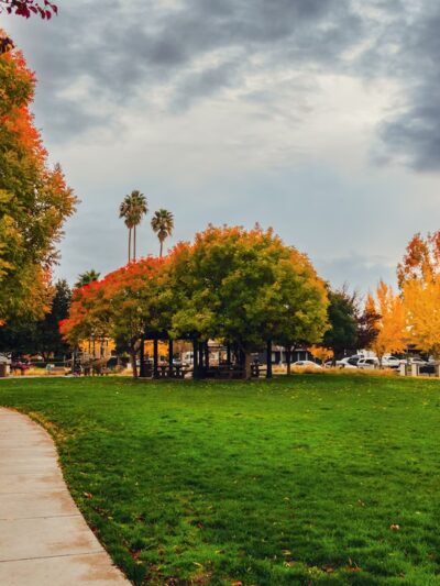 St. Elizabeth Park - San Jose, CA