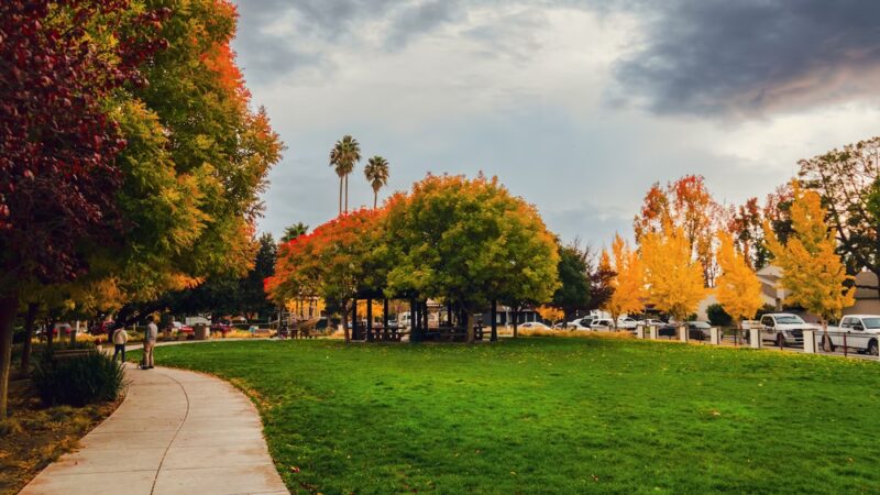 St. Elizabeth Park - San Jose, CA