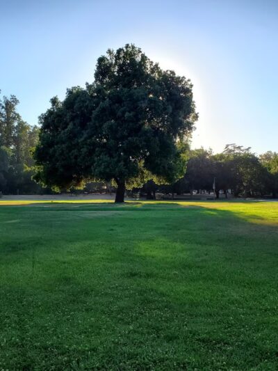 Thousand Oaks Park - San Jose, CA
