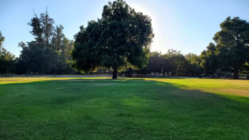 Thousand Oaks Park - San Jose, CA