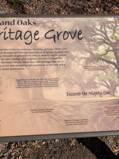 Thousand Oaks Park - San Jose, CA