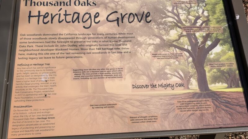 Thousand Oaks Park - San Jose, CA