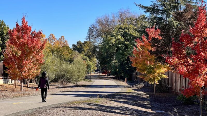 Three Creeks Trail - San Jose, CA