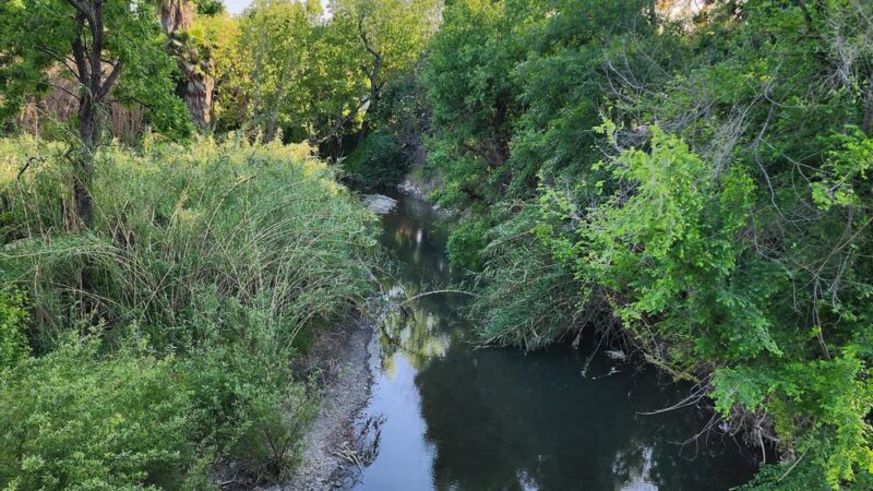 Three Creeks Trail - San Jose, CA