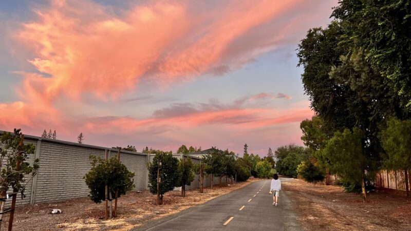 Three Creeks Trail - San Jose, CA