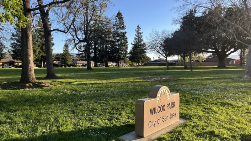 Wilcox Park - San Jose, CA
