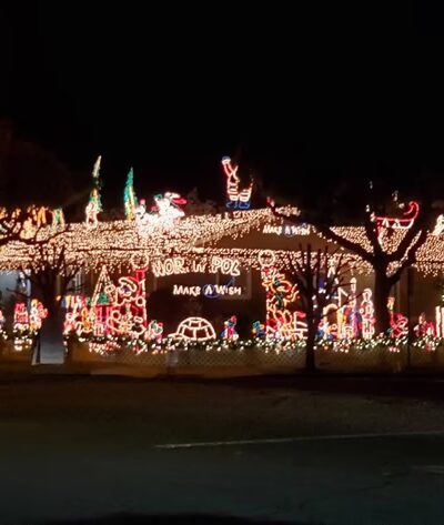 Wilcox Park - San Jose, CA